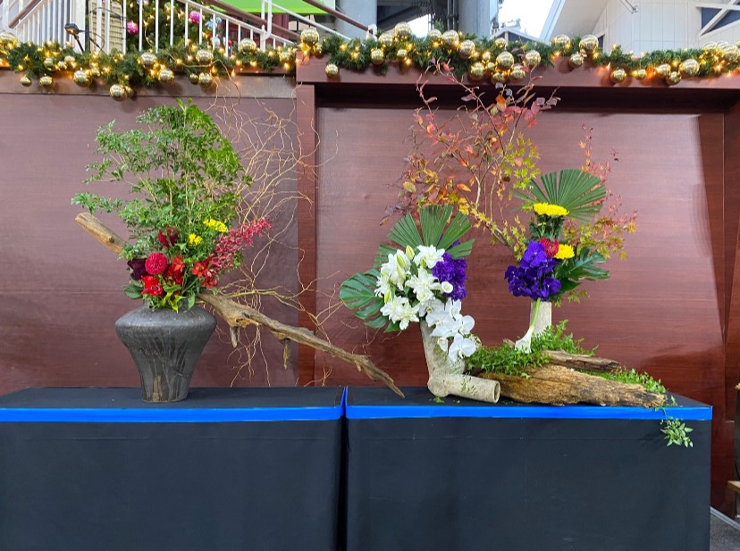 第四回全国高校生花生けバトル 近畿大会 優勝 全国大会出場決定 農業系専門高校 Ssh指定校 大阪府立園芸高等学校