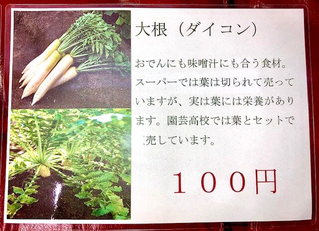 11/13,17,18野菜の販売します | 農業系専門高校・SSH指定校 | 大阪府立
