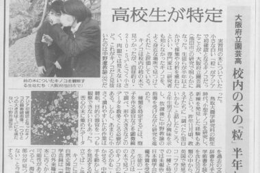 「アジア初キノコ　高校生が特定」読売新聞に掲載されました。