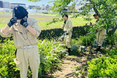 ３年生　花壇の整備