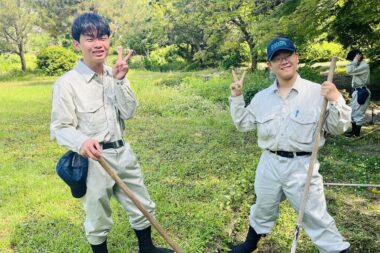 園路の除草と四つ葉のクローバー