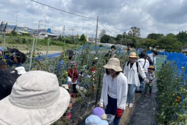 夏のちびっ子収穫体験♪