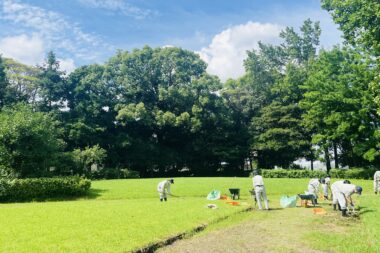 夏の実習庭園　1年生造園技術