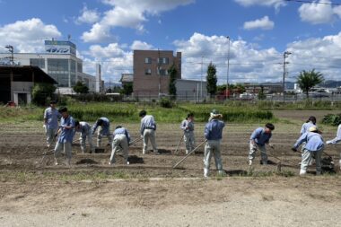 記念祭用のダイコン種まき