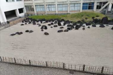 ３年生実習