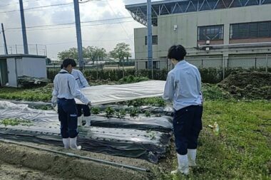 BS３年課題研究_農産加工専攻の4月の活動報告