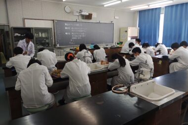 BS_新年度のバイオサイエンス科棟でも実験実習が本格的に始まりました。