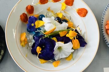 花の管理の一環で…②
