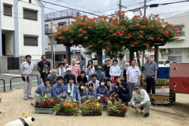 2年生の課題研究で花壇の定植を行いました！