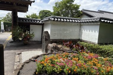 池田城跡公園　夏花壇植栽