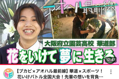 テレビで放送された映像が配信されています！
