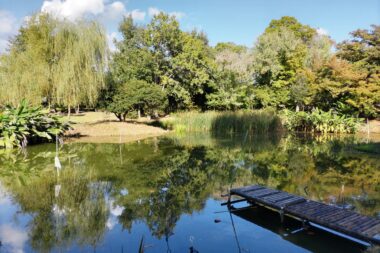 ３年生の実習（桟橋づくり）
