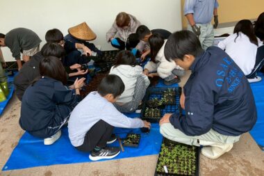 地域連携（ほそごう学園）花いっぱいプロジェクト