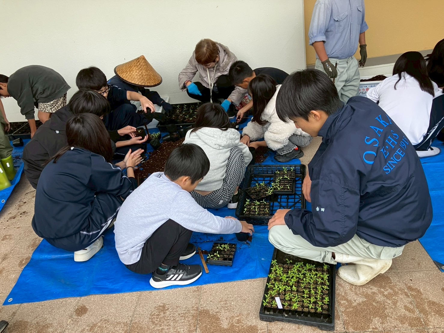 【高年式】大阪送料無料★3か月保障★2023年★PJKFR-D130★IR711 大阪プロレスBUSHI-DO2025 | 大阪プロレス