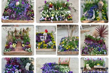 ３年園芸デザイン【箱庭作り】