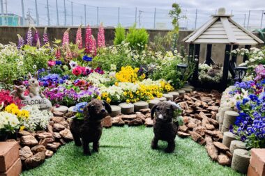 卒業おめでとうございます