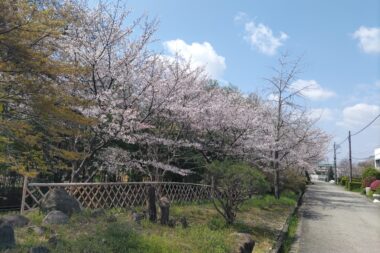 花咲く園芸高校