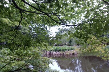園芸高校の魅力（環境緑化科）