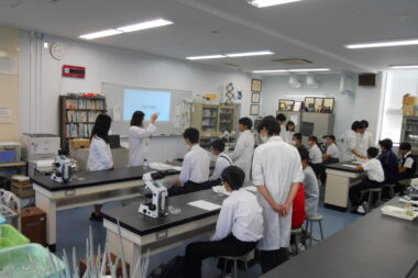バイオサイエンス科体験入学の植物バイオ実験の報告