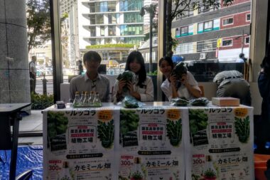 BS_バイオ研究部活動報告_植物工場生産活動編